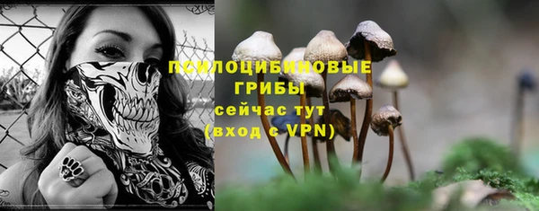 гашик Карабаново