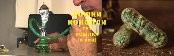 крисы Нефтекумск