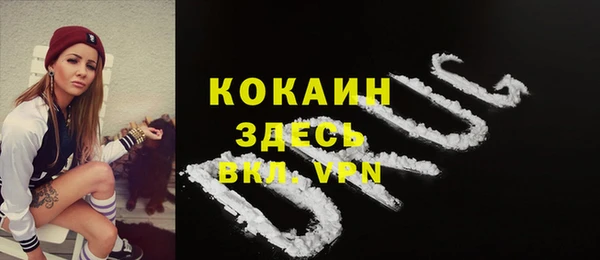 ALPHA PVP Новозыбков
