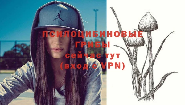 бутират Нефтегорск