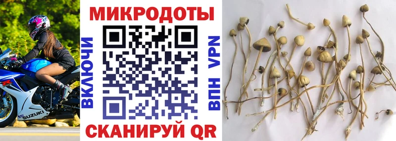 где найти   Сортавала  Галлюциногенные грибы ЛСД 